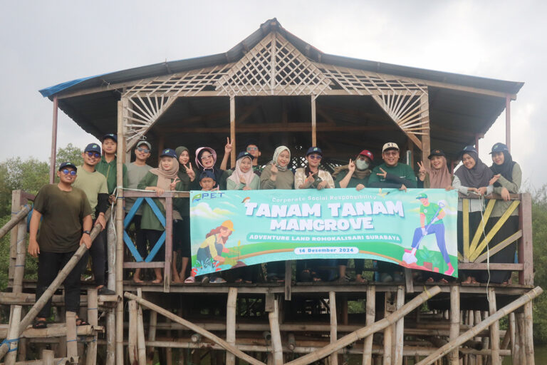 mangrove8